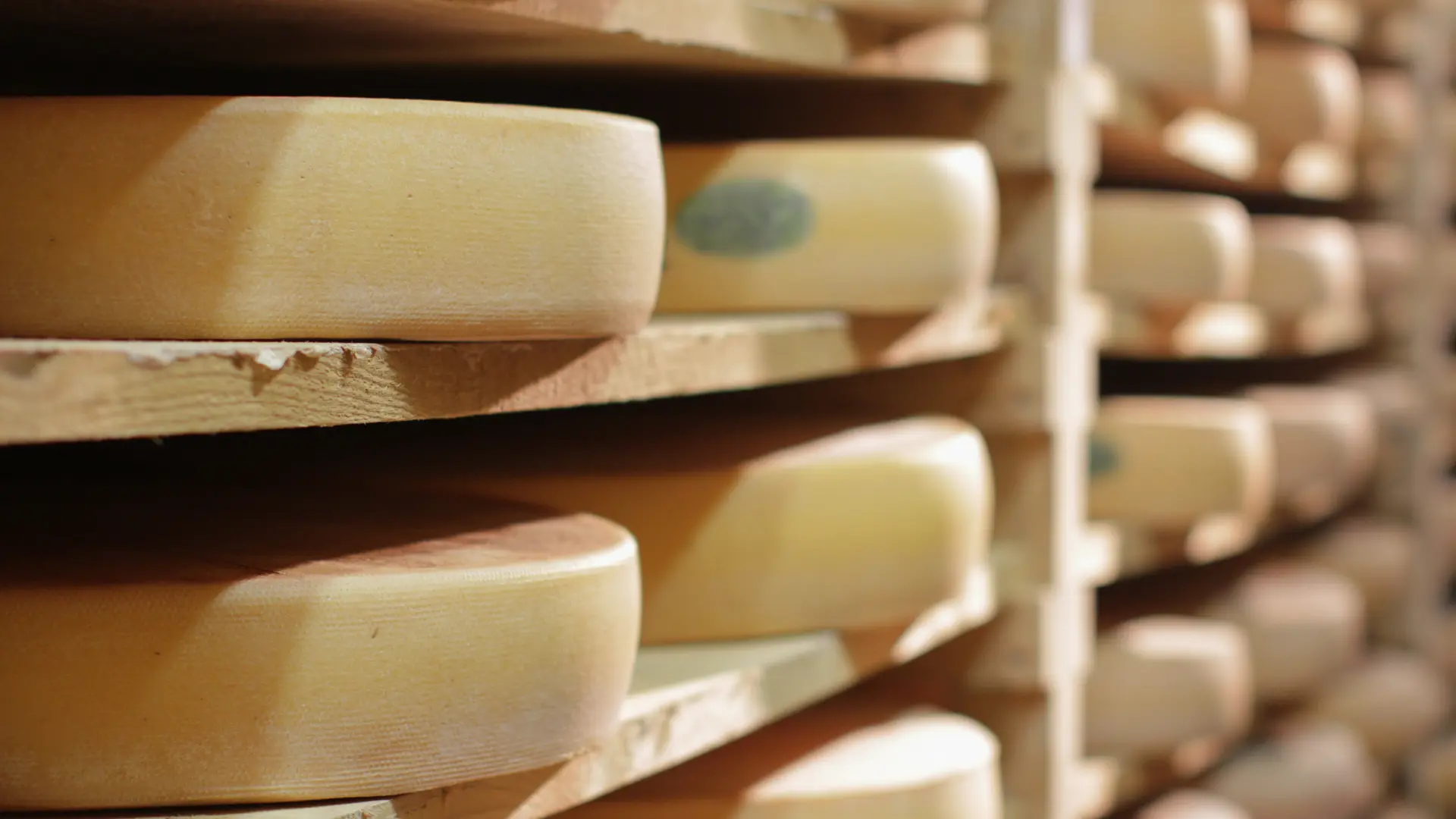 cave à comté