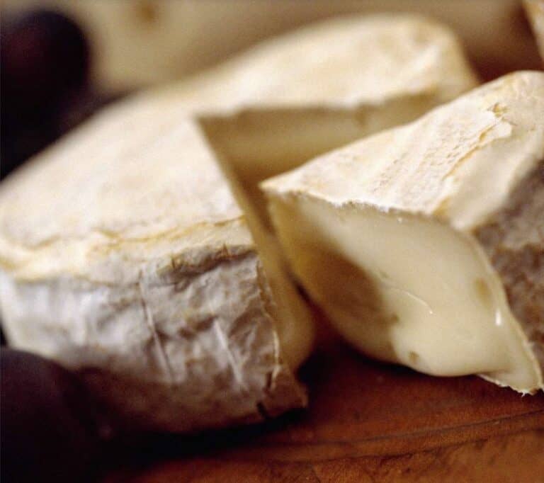 fromage à pate molle