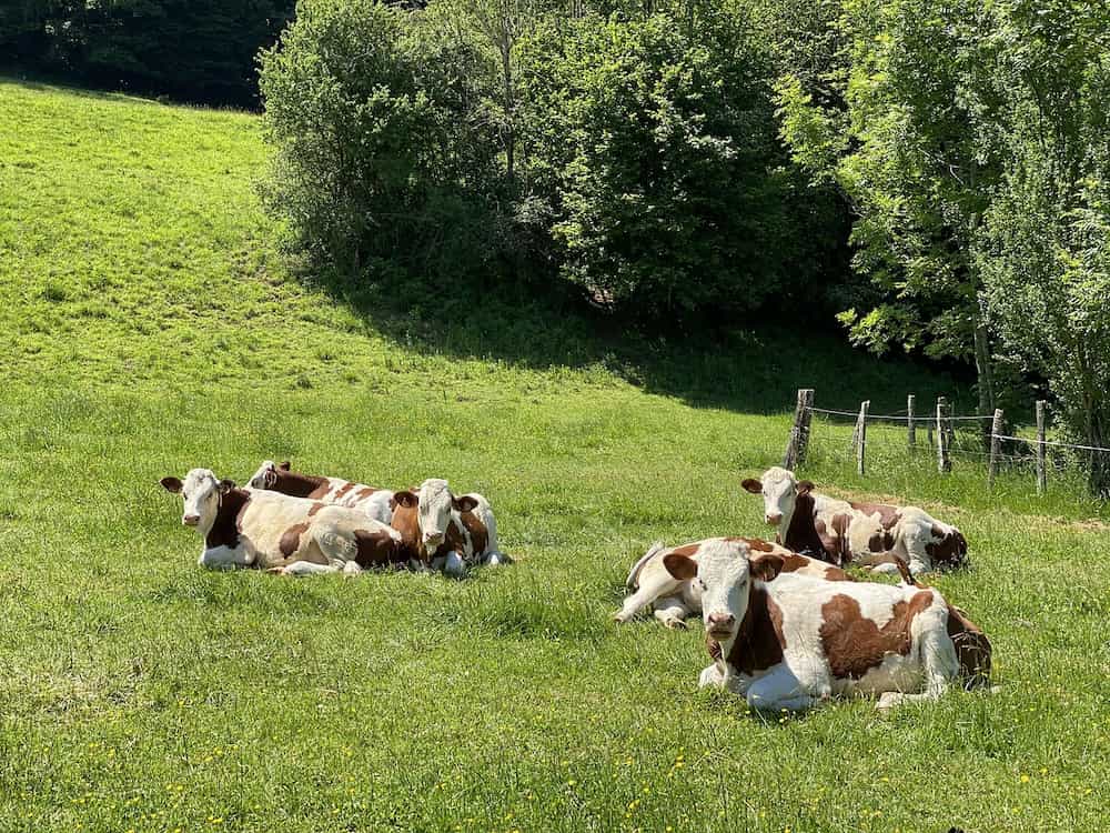 paysage franche comte