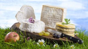 fromage de printemps