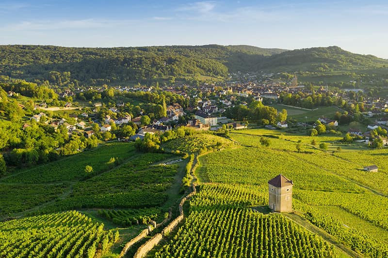 vignoble jurassien