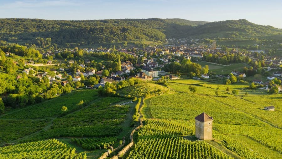 vignes arbois