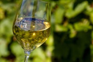 vin blanc