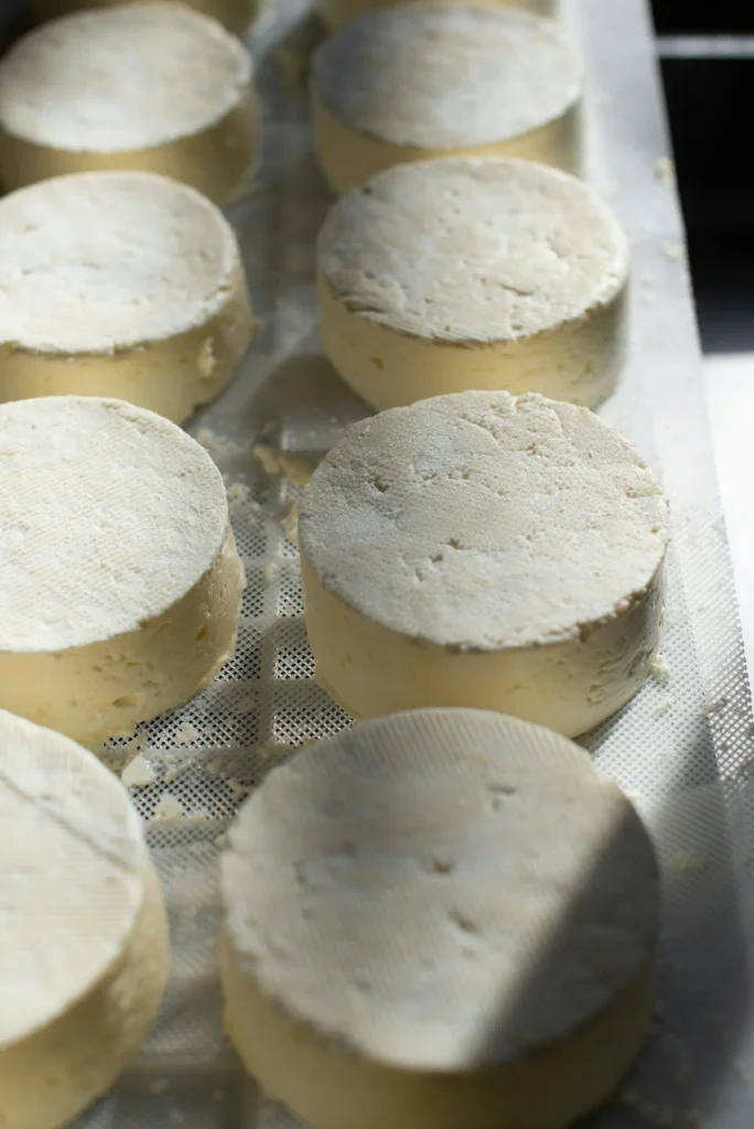 fromage artisanal